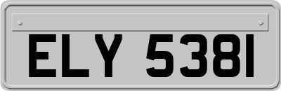 ELY5381