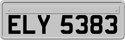 ELY5383