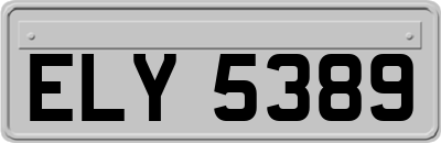 ELY5389