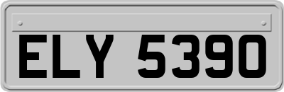 ELY5390