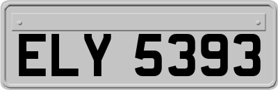 ELY5393
