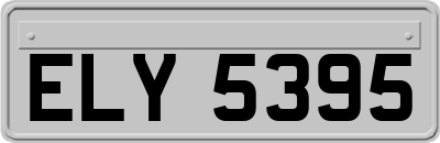 ELY5395