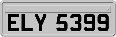 ELY5399