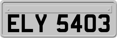 ELY5403