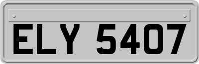 ELY5407