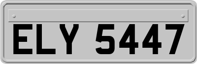 ELY5447