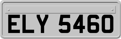 ELY5460