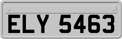 ELY5463