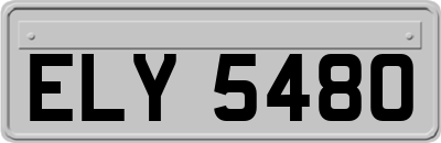 ELY5480