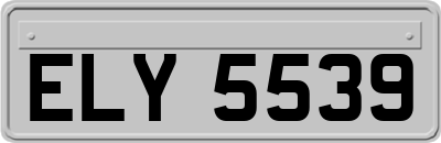 ELY5539