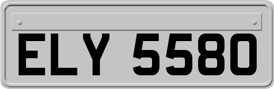 ELY5580