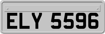 ELY5596
