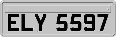 ELY5597