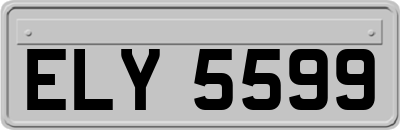 ELY5599