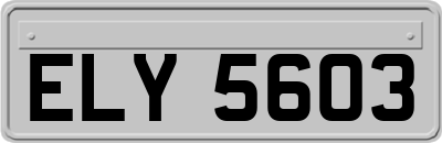 ELY5603