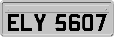 ELY5607