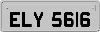 ELY5616