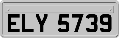 ELY5739