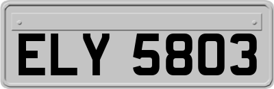 ELY5803