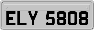 ELY5808