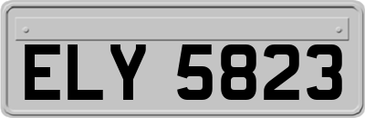 ELY5823
