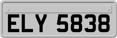 ELY5838