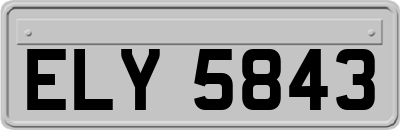 ELY5843