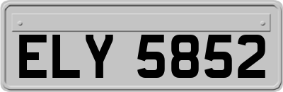 ELY5852