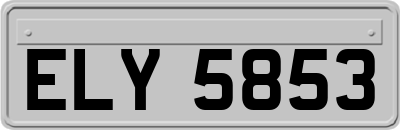 ELY5853
