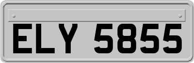 ELY5855