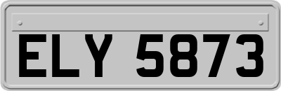 ELY5873