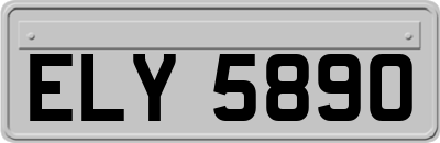 ELY5890