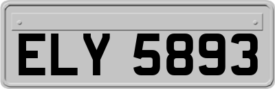 ELY5893