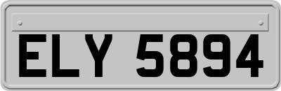 ELY5894