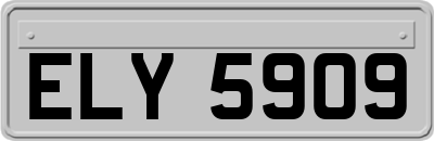 ELY5909