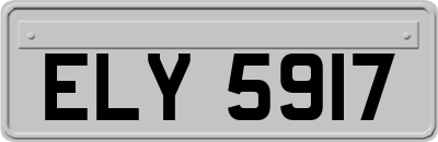 ELY5917