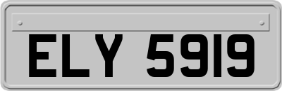 ELY5919