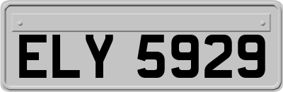 ELY5929