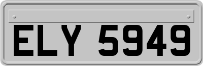 ELY5949