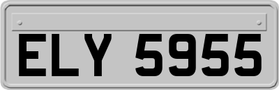 ELY5955