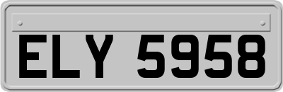 ELY5958