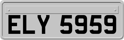 ELY5959