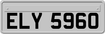 ELY5960