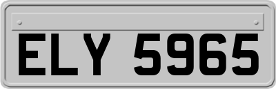 ELY5965
