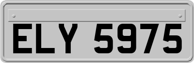 ELY5975