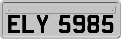 ELY5985