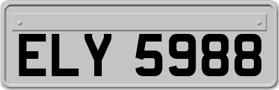 ELY5988