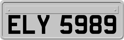 ELY5989
