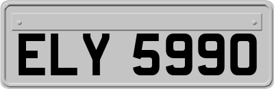 ELY5990