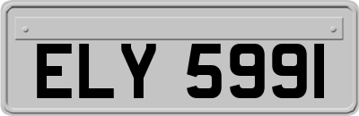 ELY5991